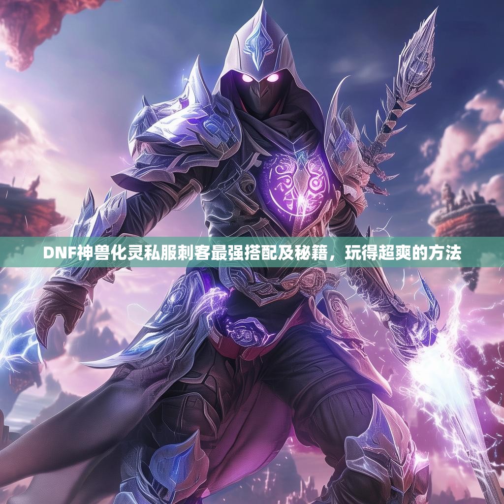 DNF神兽化灵私服刺客最强搭配及秘籍,玩得超爽的方法