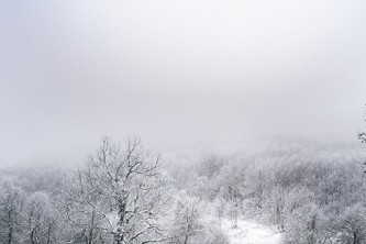 保定车限号规定及高考中考期间送考车限号替代方案