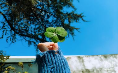 文化场所疫情常态化防控通知：开放要求、责任落实及相关事项