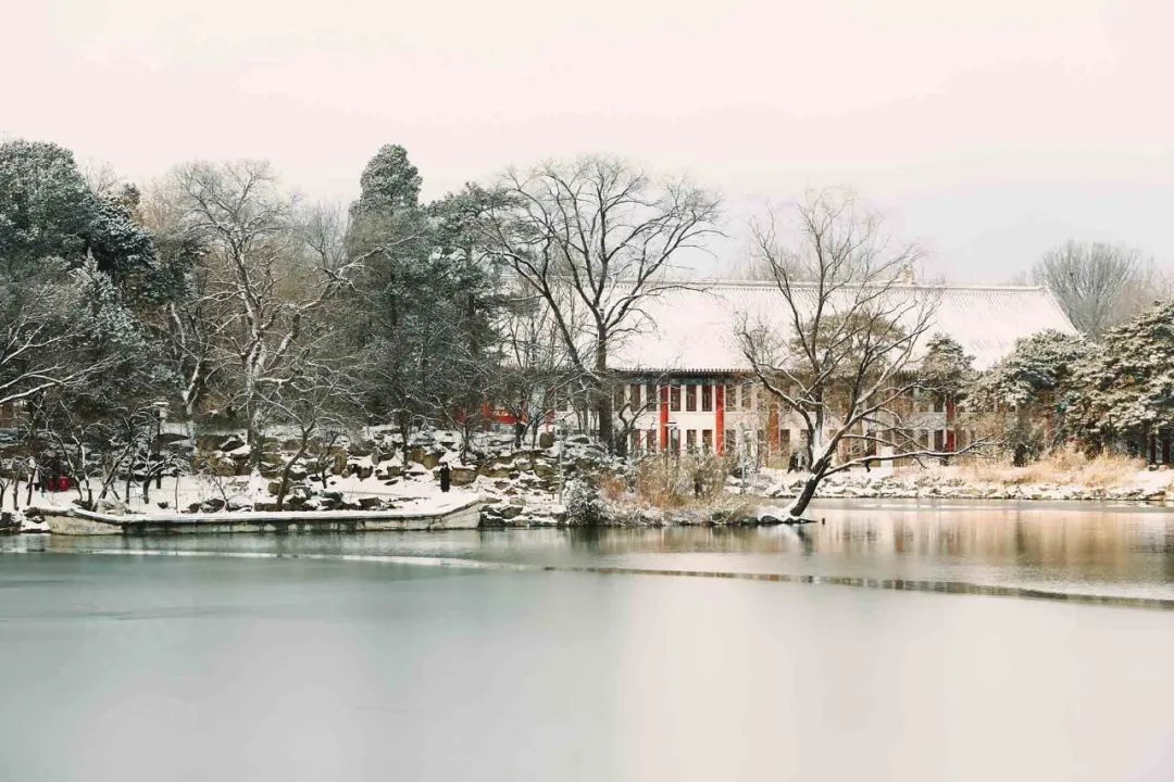 北大求学记:从渴望大馍到梦想成真,学一食堂的难忘时光
