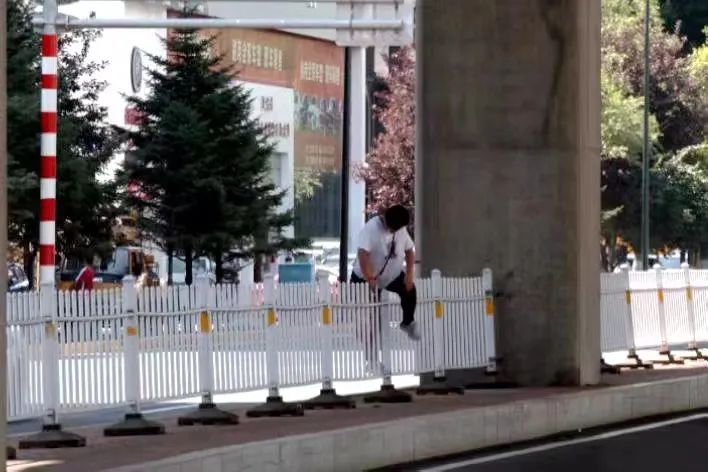 哈市交警强化治理行人违法,曝光典型违章行为予以警示