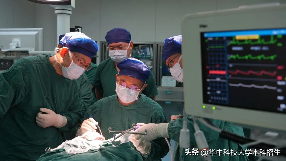 请回答2025!华中科技大学拉什