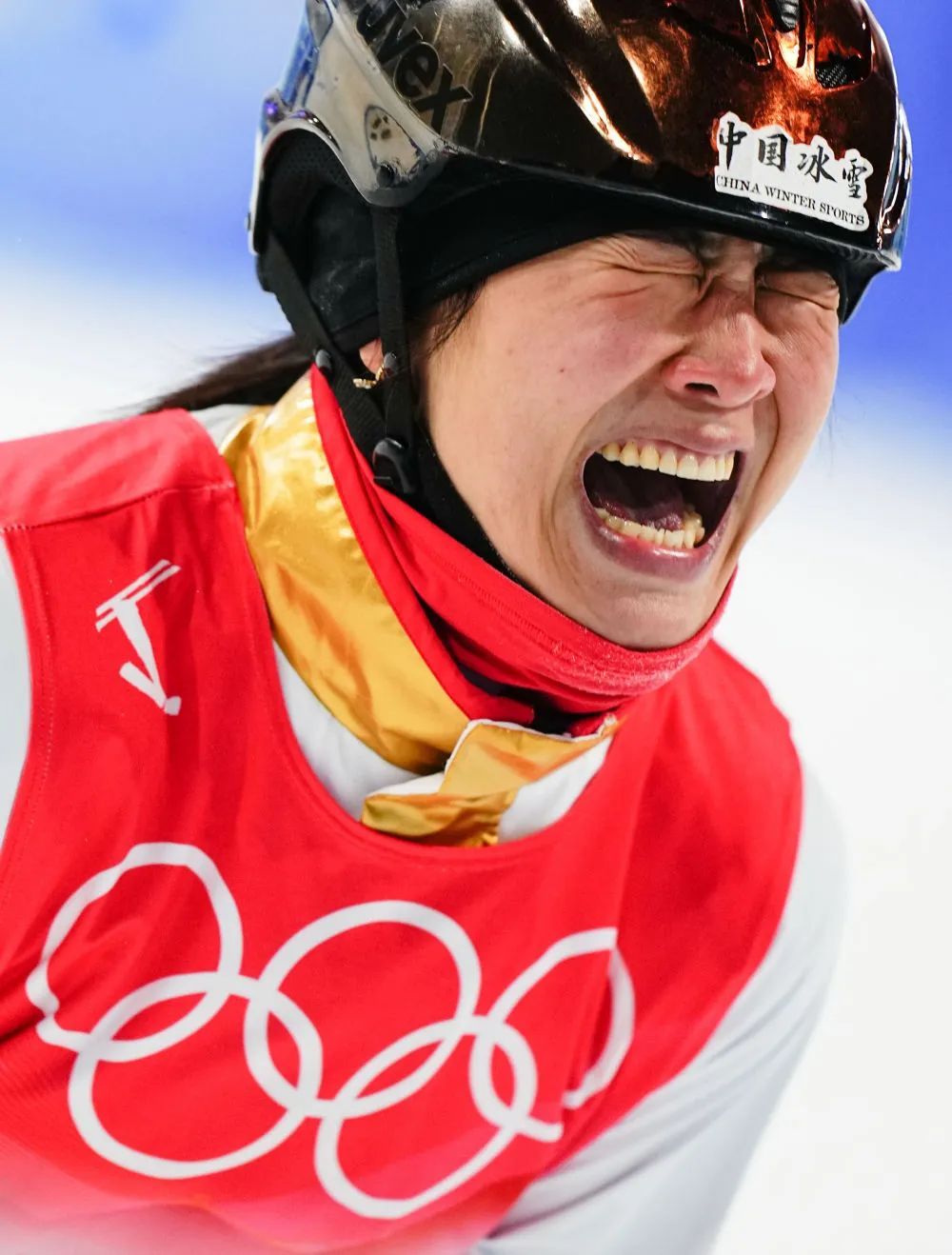 全冬会多名冬奥冠军吸睛,杨扬王濛武大靖等受全民喜爱