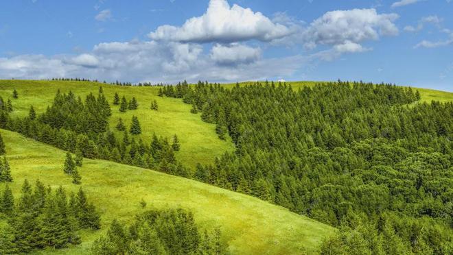 高考地理:植被特征考点全解析,气候地形等要素综合分析