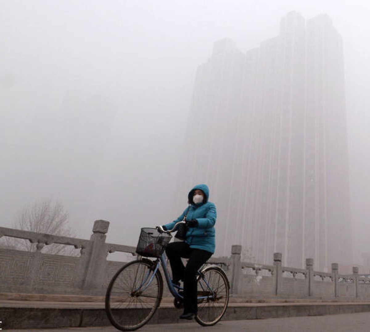 河北多地取消机动车尾号限行,限号限行趋势引关注